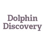 dolphindiscovery.com
